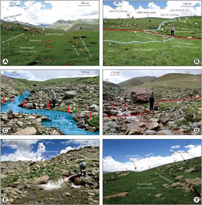 Co-Seismic Surface Ruptures of the CE 1738 M 7.6 Dangjiang Earthquake Along the NW Continuation of the Xianshuihe Fault Zone and Tectonic Implications for the Central Tibetan Plateau